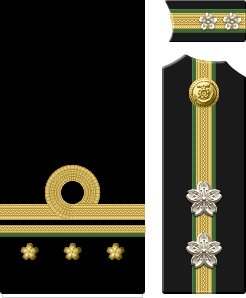 特務中尉 - Special Duty Leutenant, Junior Grade