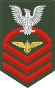 Chief Petty Officer badge for forestry green